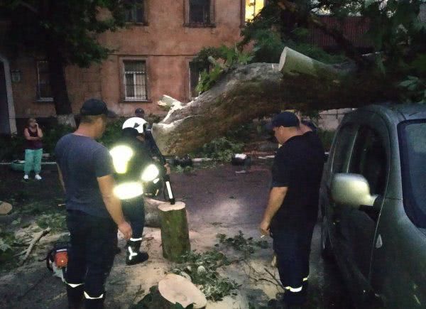 Протягом минулої доби херсонські рятувальники ліквідовували наслідки негоди