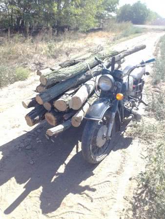 За добу поліцейські Верхньорогачицького району виявили три факти незаконної порубки дерев