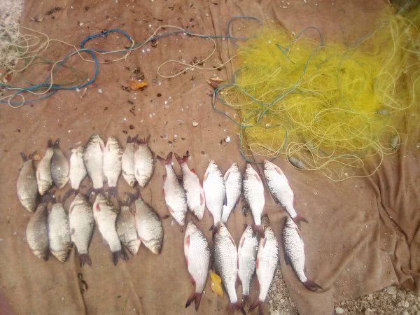 Херсонский рыбохранный патруль зафиксировал 26 нарушений за 2 дня