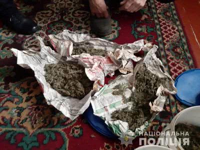 Поліцейські вилучили близько 1 кг марихуани у двох жителів Великолепетиської ОТГ