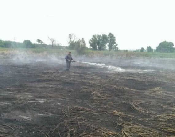 Рада усилила ответственность за сжигание лесов и торфяников