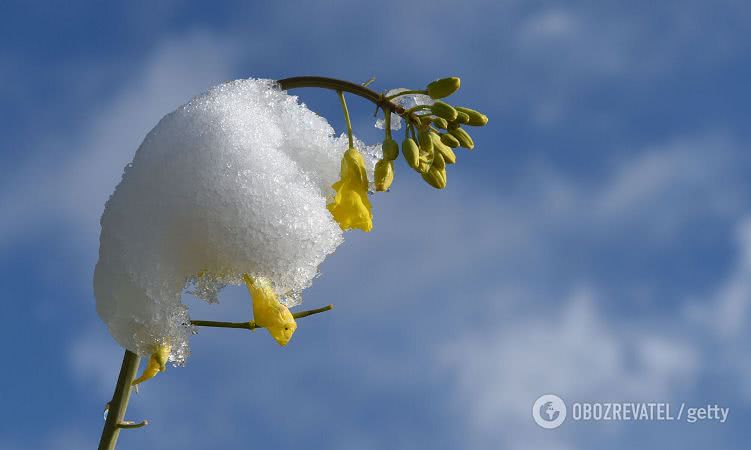 В Украину идет потепление, снег быстро исчезнет: синоптик сказала, когда наступит настоящая весна