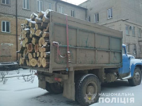 На Херсонщине полицейские остановили грузовик с 12 кубометрами акации без документов