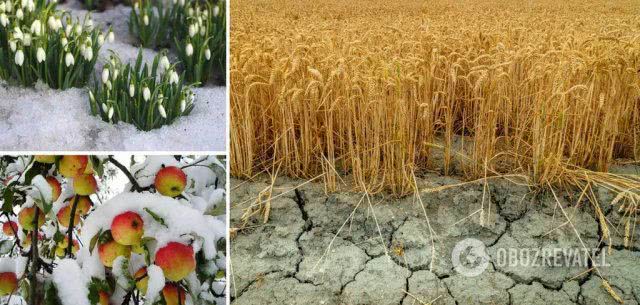 Украине грозят серьезные проблемы с урожаем: метеорологи назвали риски снежного апокалипсиса и дали прогноз на весну