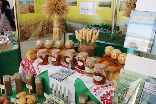 С 3 по 4 марта в Херсоне проходит Южная агропромышленная выставка «Фермер-2021»