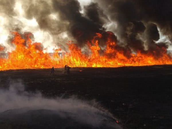 На Херсонщине низовья Днепра охватили пожары
