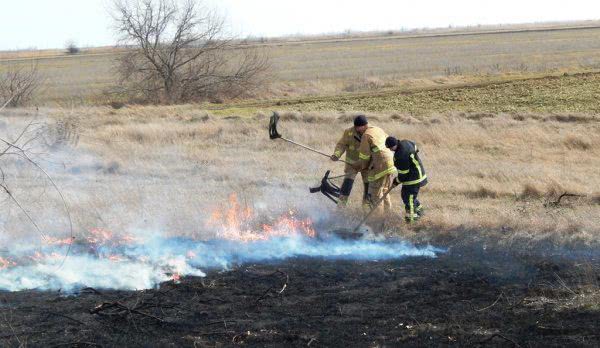 Весенние пожары: снова массово горят экосистемы Херсонщины
