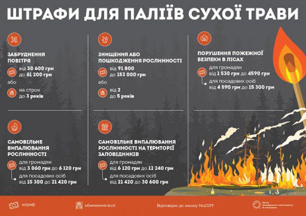 За підпал лісу жителям Херсонщини загрожує до 5 років ув’язнення або штраф у понад 100 тисяч гривень
