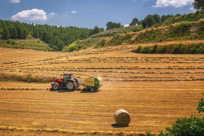 Эксперты прогнозируют Украине рекордный урожай зерна в 2021 году