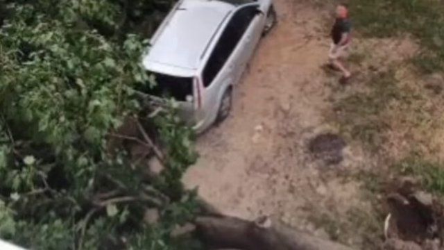 В Каховке упавшее дерево едва не раздавило автомобиль