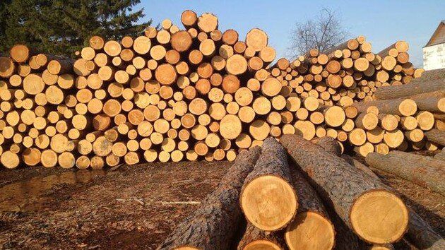 Украина собирается отменить запрет на экспорт леса-кругляка