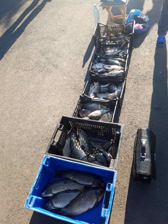 Протягом доби працівники рибоохоронного патруля конфіскували понад 90 кг риби