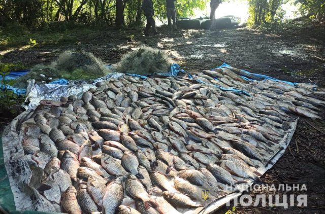 На Херсонщине за сутки водные полицейские разоблачили два факта браконьерства в акватории Нижнерогачикского лимана
