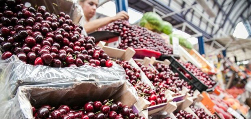В Украине рекордно низкий урожай черешни: импортные ягоды стоят дешевле