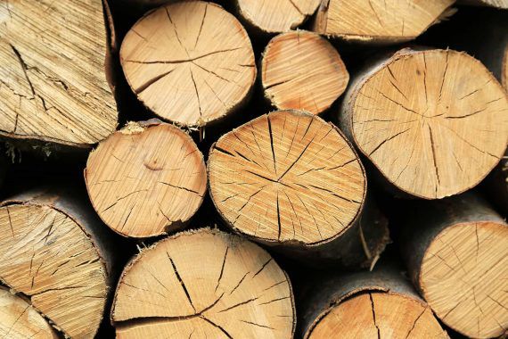 Цены на древесину выросли почти в четыре раза