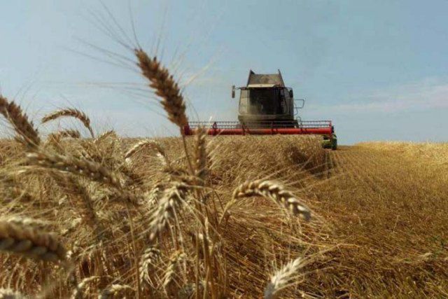 Аграрии юга Украины начали уборку урожая ранних зерновых