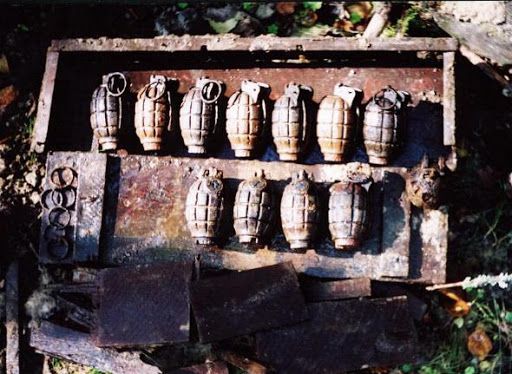 На Херсонщине возле села нашли сразу 19 ручных гранат времен Второй Мировой войны