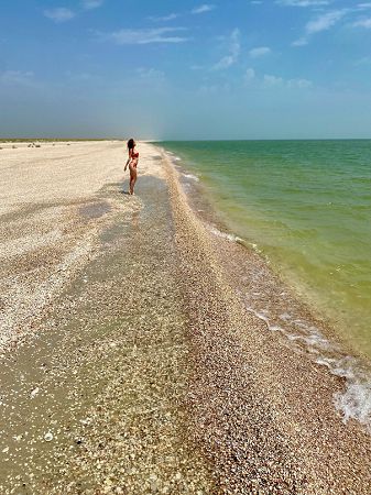 Украинцам показали лучшие места для дикого отдыха на Азовском море: 40 км бесконечных пляжей