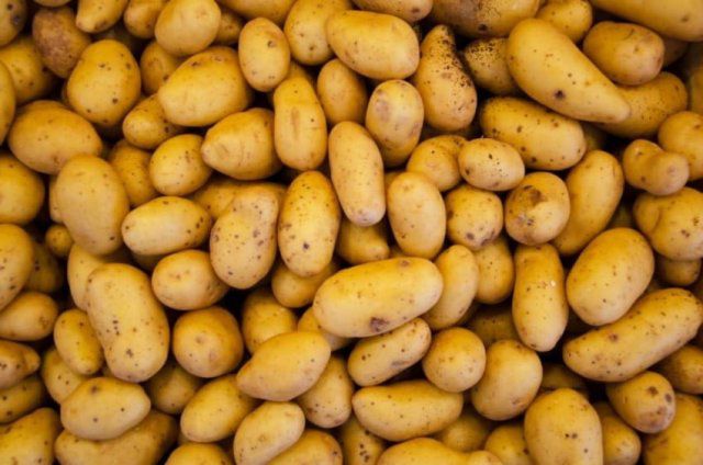 Картофель гниет на полях: эксперты рассказали, что будет с ценами