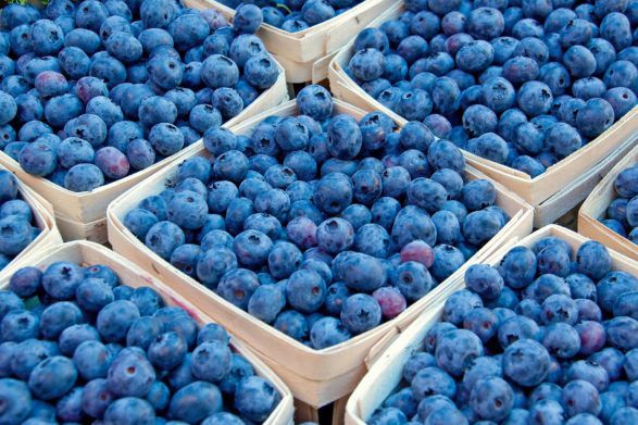 На рынках Украины стартовал сезон черники: где и за сколько продают первые ягоды