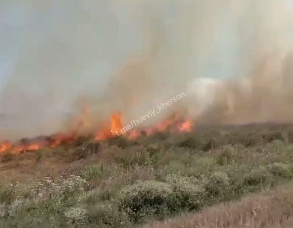 На окраине Херсона горит поле – пламя стремительно распространяется