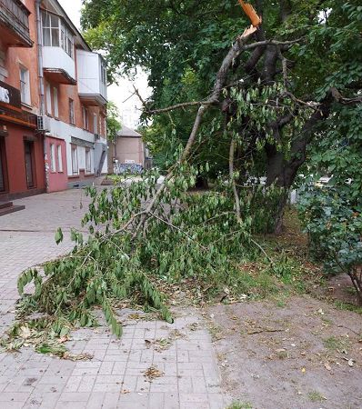В Херсоне третий день не могут убрать упавшее дерево