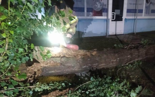В Каланчаке спасатели убрали поваленный ураганом тополь, который упал на электропровода