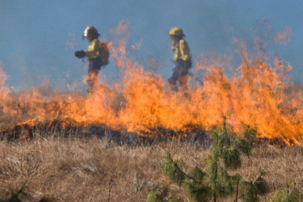 На Херсонщині фермеру підпалили четверте поле з врожаєм
