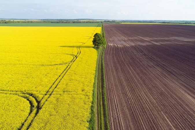 Земля в Украине ежегодно будет дорожать на 10%: министр агрополитики призывает не продавать участки
