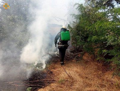 Рятувальники Херсонщини за добу ліквідували 8 пожеж в екосистемах