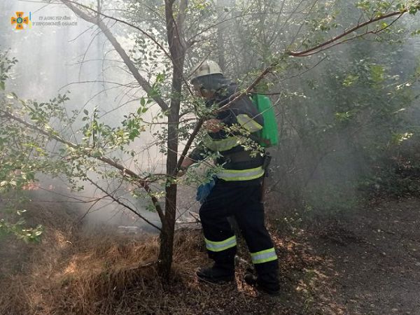 На Херсонщине за сутки произошли 17 пожаров в экосистемах