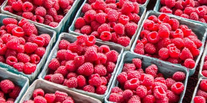 Цены на малину в Украине резко снизились на 60%: сколько стоит ягода на рынках