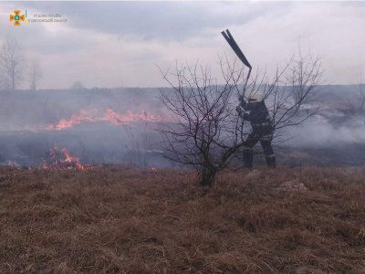 У Чаплинській ТГ горів сухостій