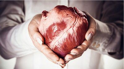 Вже п’ятеро мешканців Херсонщини очікують пересадки серця