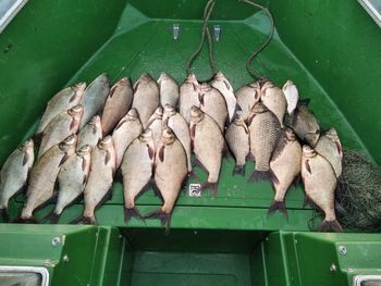 На Херсонщині рибпатрульні в черговий раз «зловили» браконьєрів