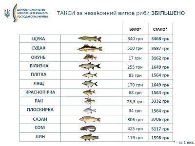 До уваги риболовів: такси за незаконний вилов риби збільшено