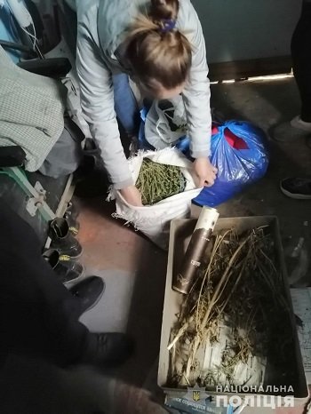 Поліцейські вилучили 1,5 кг канабісу в жителя Скадовського району
