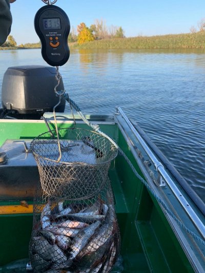 За тиждень рибоохоронний патруль виявив браконьєрів, які виловили понад 120 кг риби