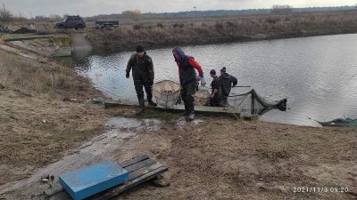 У водойми Херсонської області випустили понад 4 тонни молодняка риби