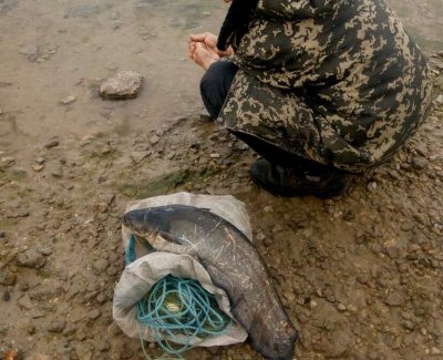 За дві доби рибоохоронний патруль Херсонщини конфіскував 45 кг незаконно виловленої риби