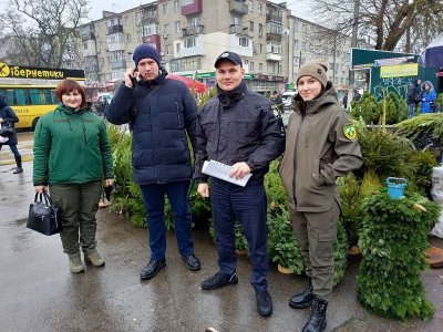 У Великокопанівському лісництві вже склали протоколи за незаконну рубку новорічних ялинок