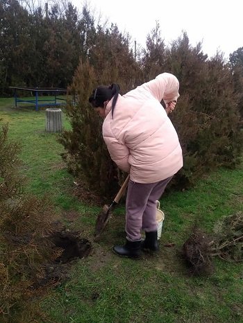 У Музиківській громаді дбають про благоустрій