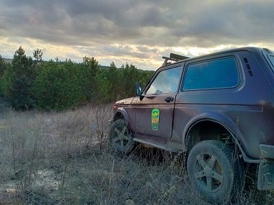 Лісівники Херсонщини застерігають: за рубку дерев передбачена відповідальність