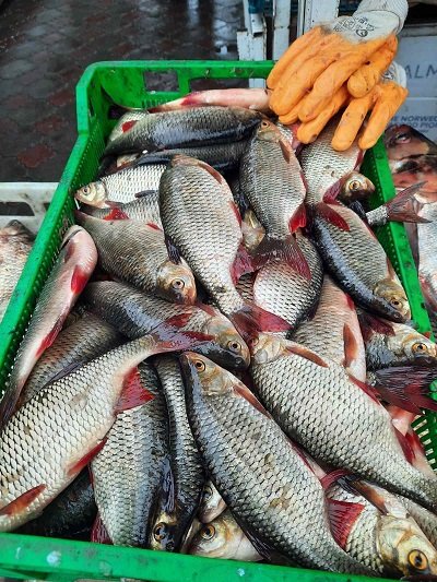 За минулий тиждень на Херсонщині 45 разів порушували Правила рибальства