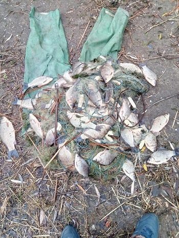 За добу інспектори Херсонського рибпатруля виявили 10 фактів браконьєрства