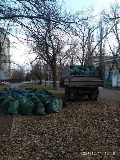 У сквері імені Олени Микитась в Херсоні влаштували прибирання