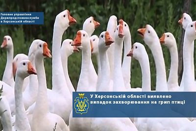 Територія Чорноморського біосферного заповідника НАН України визначено, як зону спостереження за випадками пташиного грипу