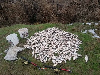 1 січня браконьєри порибалили на 815 тисяч гривень