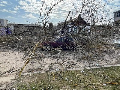 У Херсоні продовжують падати дерева