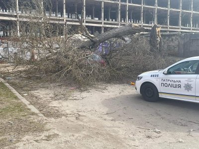 У Херсоні продовжують падати дерева